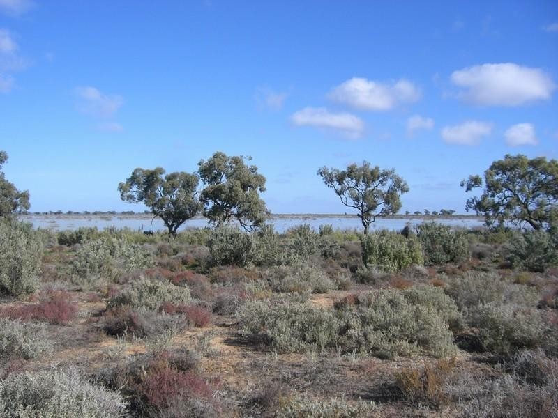 00 Newmarket, Maude Road, Hay NSW 2711