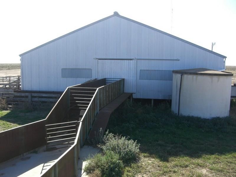 00 Newmarket, Maude Road, Hay NSW 2711