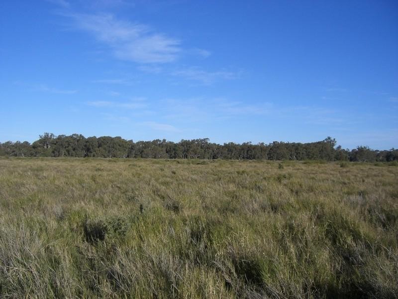 00 Newmarket, Maude Road, Hay NSW 2711