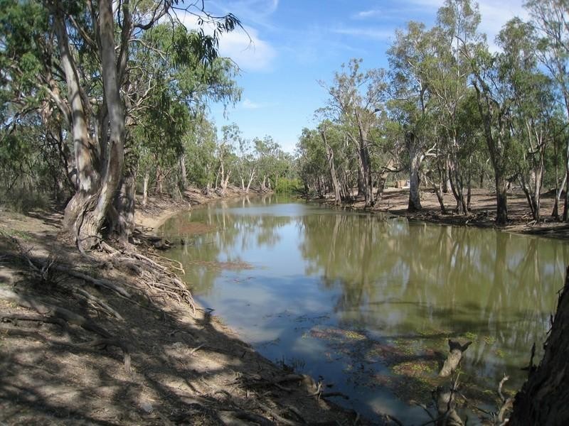 00 Wakool Road, Deniliquin NSW 2710