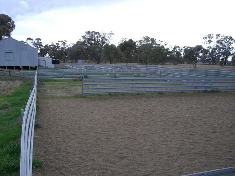 00 Brassi Road, Deniliquin NSW 2710