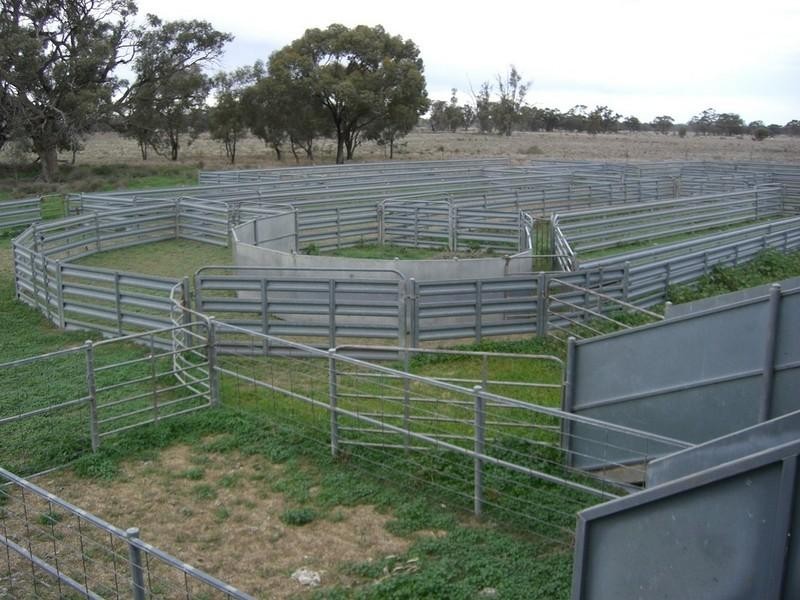 00 Brassi Road, Deniliquin NSW 2710