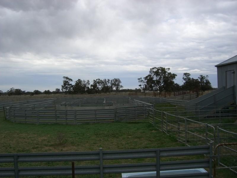 00 Brassi Road, Deniliquin NSW 2710