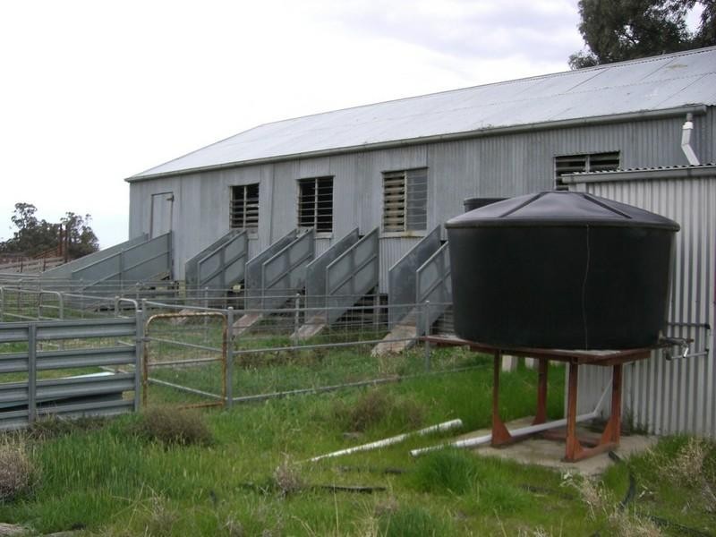 00 Brassi Road, Deniliquin NSW 2710