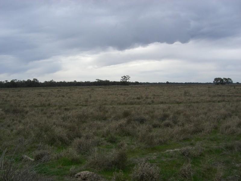 00 Brassi Road, Deniliquin NSW 2710