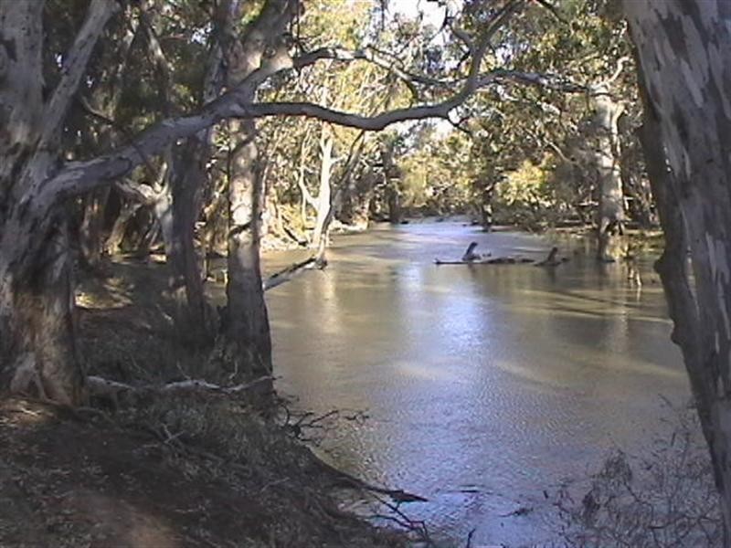 Lot/8 Echidna Way, Conargo NSW 2710