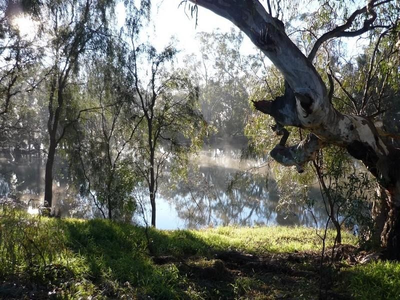Lot/24 Billabong Creek Drive, Conargo NSW 2710