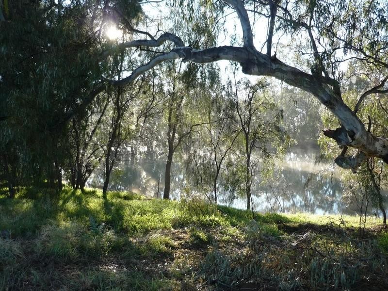 Lot/24 Billabong Creek Drive, Conargo NSW 2710