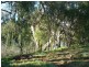 Lot/24 Billabong Creek Drive, Conargo NSW 2710