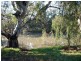 Lot/24 Billabong Creek Drive, Conargo NSW 2710