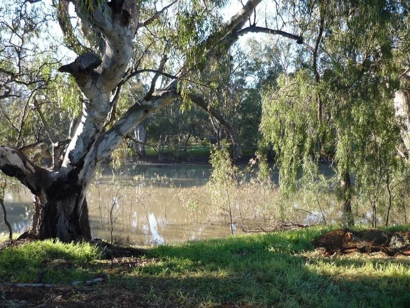 Lot/24 Billabong Creek Drive, Conargo NSW 2710