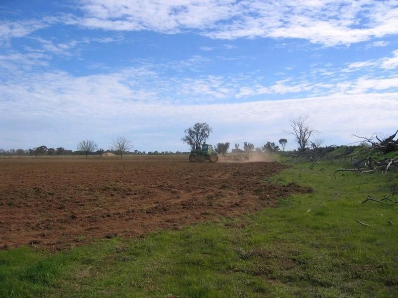 20342 Riverina Highway, Deniliquin NSW 2710