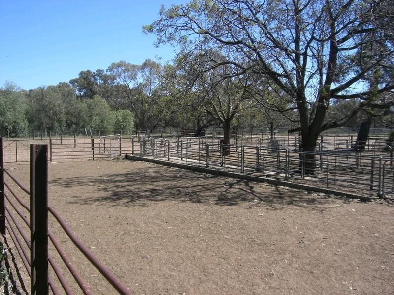 1,2,64 Monimail Road, Deniliquin NSW 2710