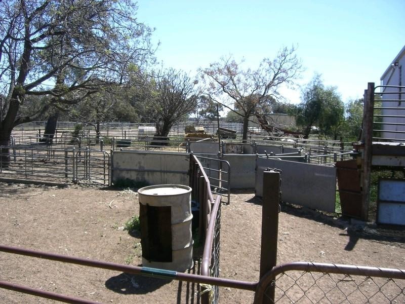 1,2,64 Monimail Road, Deniliquin NSW 2710