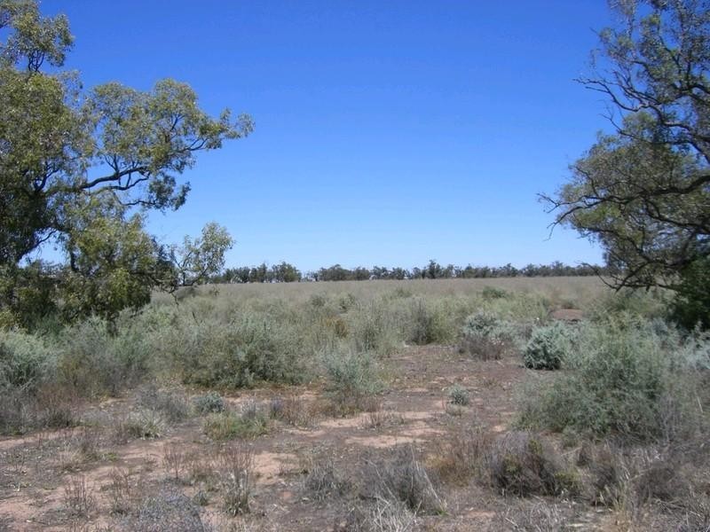 00 Mossgiel Ivanhoe Road, Hillston NSW 2675
