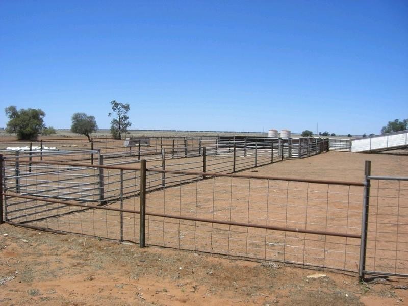 00 Mossgiel Ivanhoe Road, Hillston NSW 2675