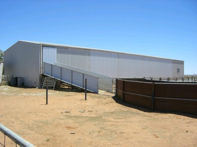 00 Mossgiel Ivanhoe Road, Hillston NSW 2675