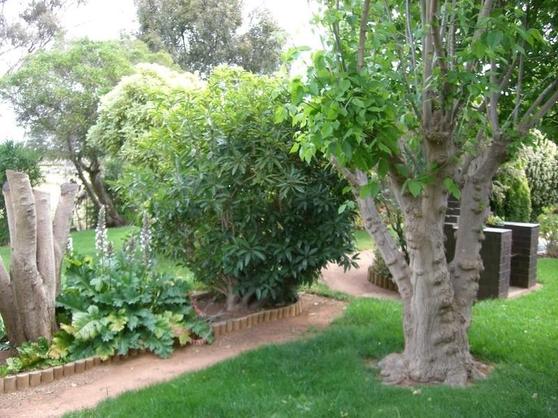 310 Thyra Road, Mathoura NSW 2710