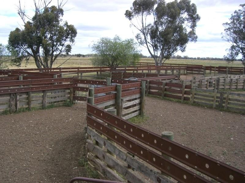 310 Thyra Road, Mathoura NSW 2710