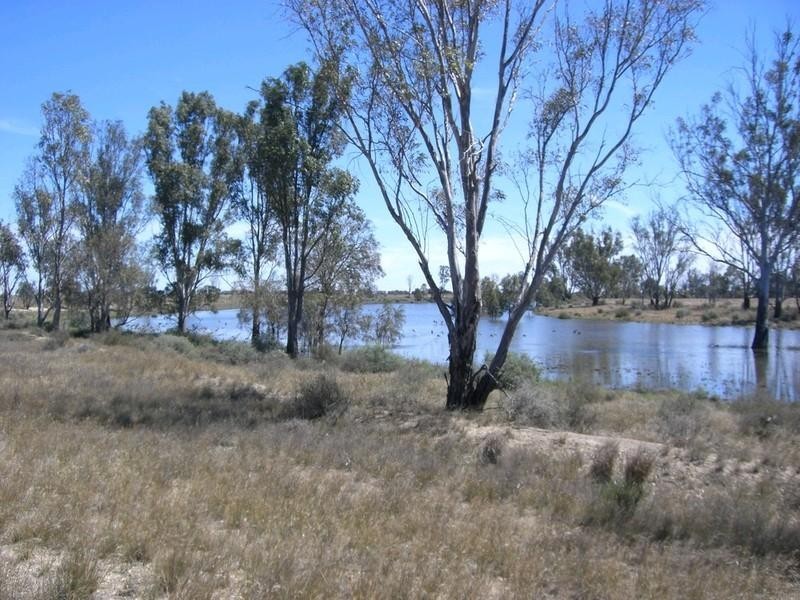 1087 Tueloga Road, Dilpurra NSW 2734