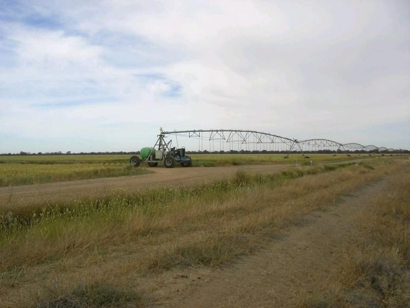 1087 Tueloga Road, Dilpurra NSW 2734