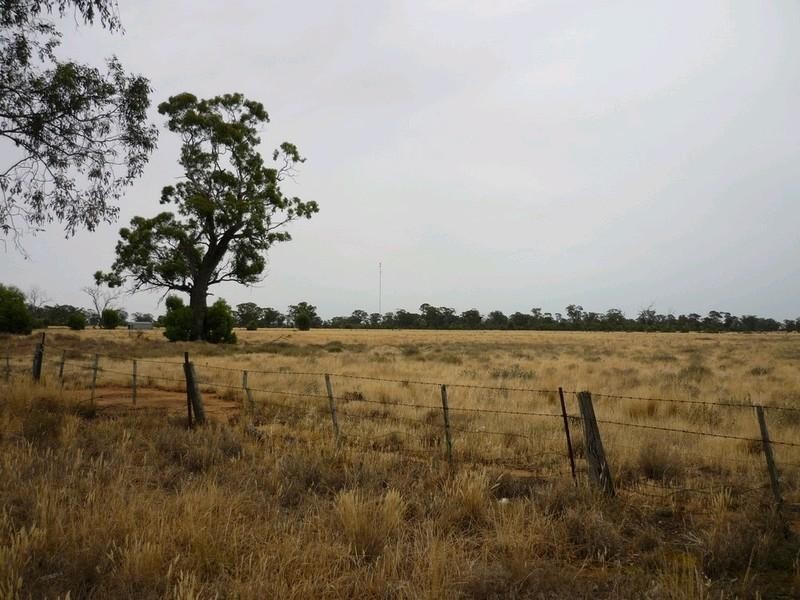 Lots/6-9 Forest Street, Mathoura NSW 2710