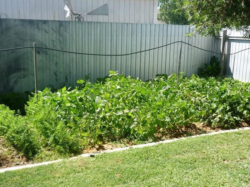 3/433 Wood Street, Deniliquin NSW 2710