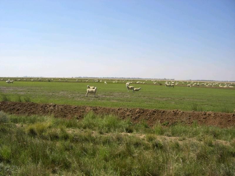 00 Southdown Road, Deniliquin NSW 2710