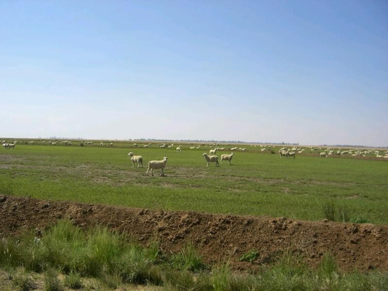 00 Southdown Road, Deniliquin NSW 2710