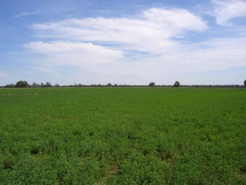 00 Riversdale, Moulamein Road, Deniliquin NSW 2710