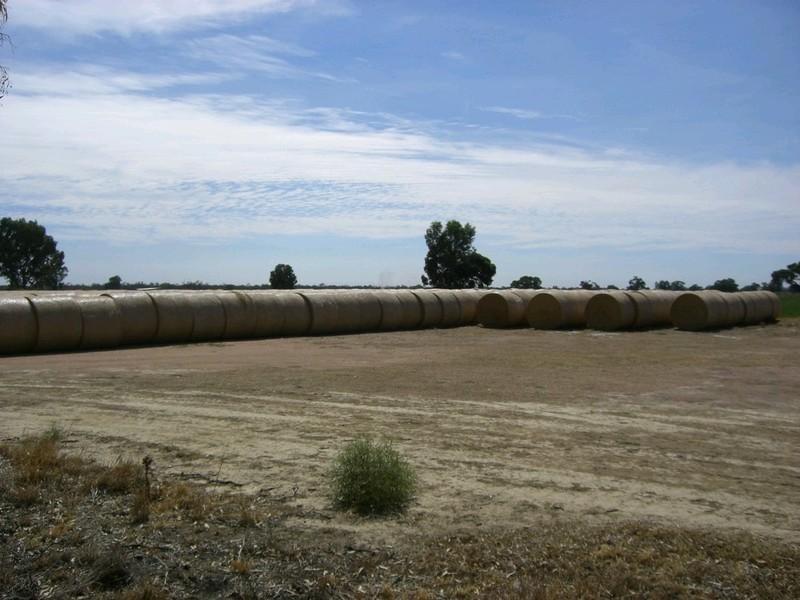 00 Riversdale, Moulamein Road, Deniliquin NSW 2710