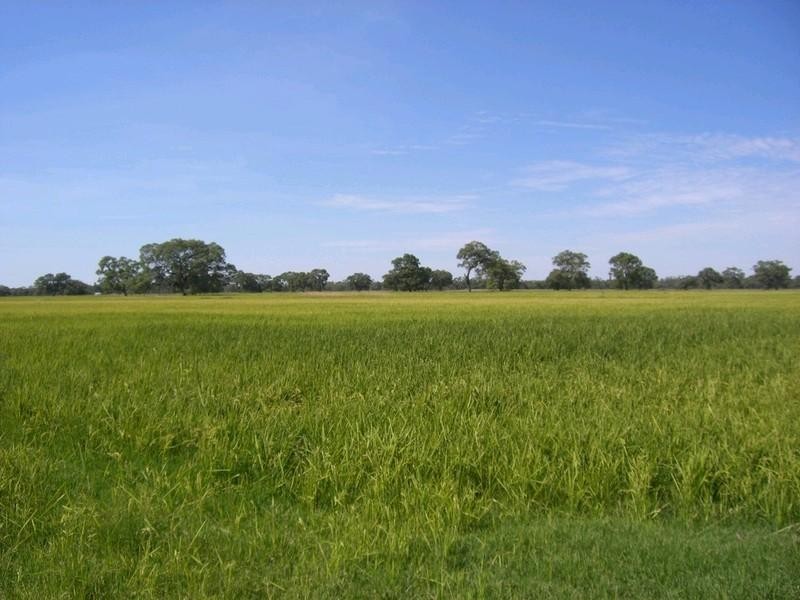 00 Riversdale, Moulamein Road, Deniliquin NSW 2710