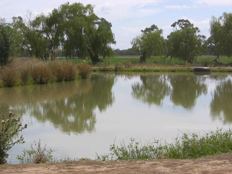 00 Riversdale, Moulamein Road, Deniliquin NSW 2710