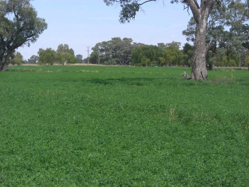 00 Riversdale, Moulamein Road, Deniliquin NSW 2710