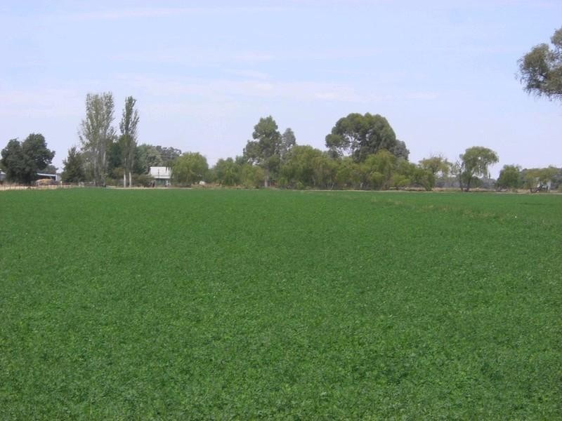 00 Riversdale, Moulamein Road, Deniliquin NSW 2710