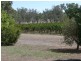 00 Barooga Road, Tocumwal NSW 2714