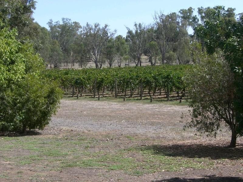 00 Barooga Road, Tocumwal NSW 2714