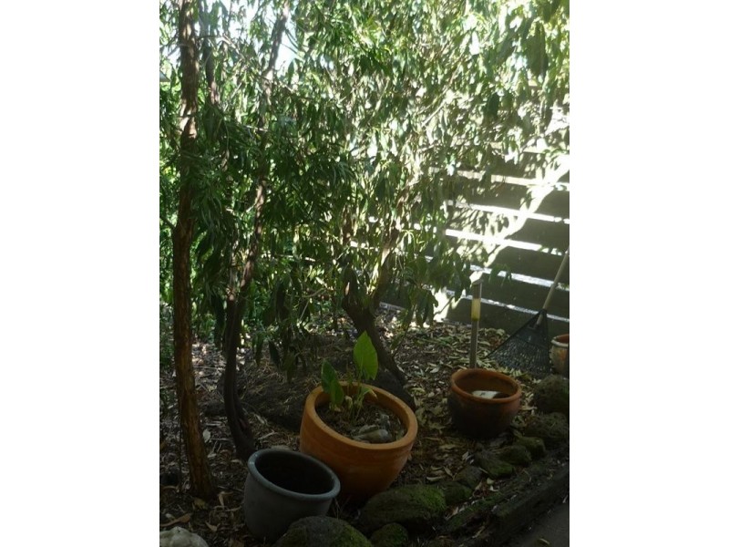 459 Poictiers Street, Deniliquin NSW 2710