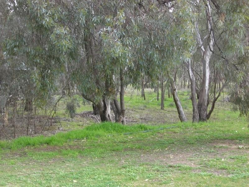 Unit 5/ Pioneer Tourist Park Hay Road, Deniliquin NSW 2710