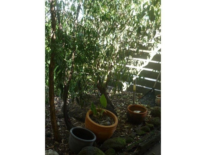 459 Poictiers Street, Deniliquin NSW 2710