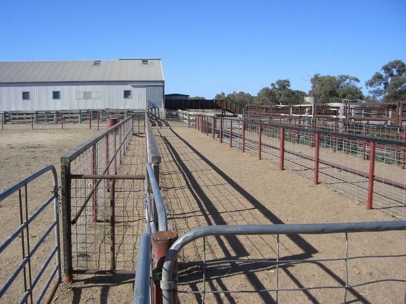 00 Maude Road, Hay NSW 2711