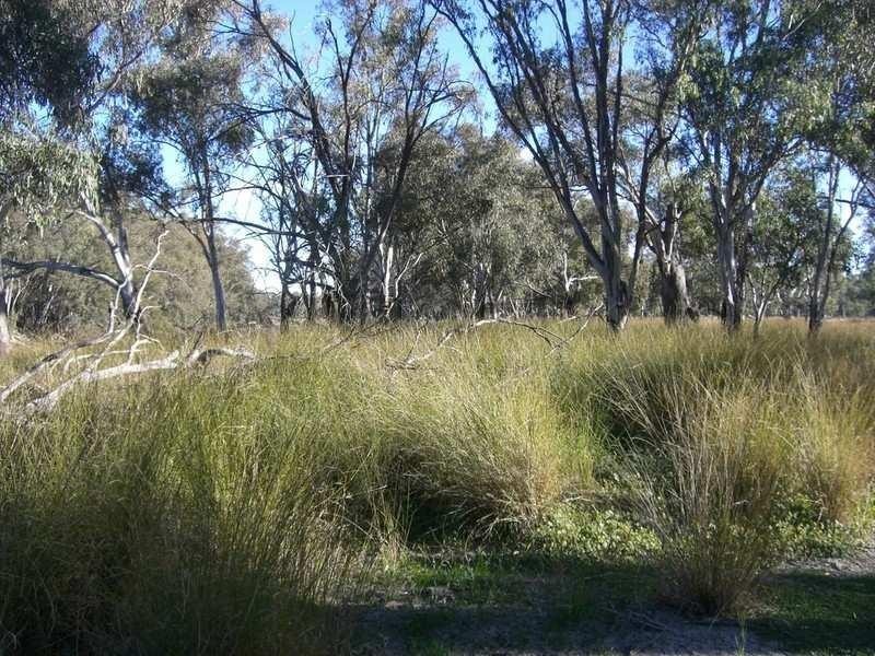 00 Maude Road, Hay NSW 2711
