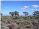00 Maude Road, Hay NSW 2711