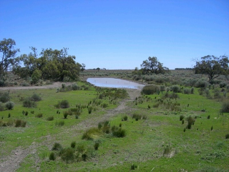 00 Mossgiel Ivanhoe Road, Hillston NSW 2675