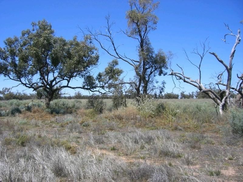 00 Mossgiel Ivanhoe Road, Hillston NSW 2675