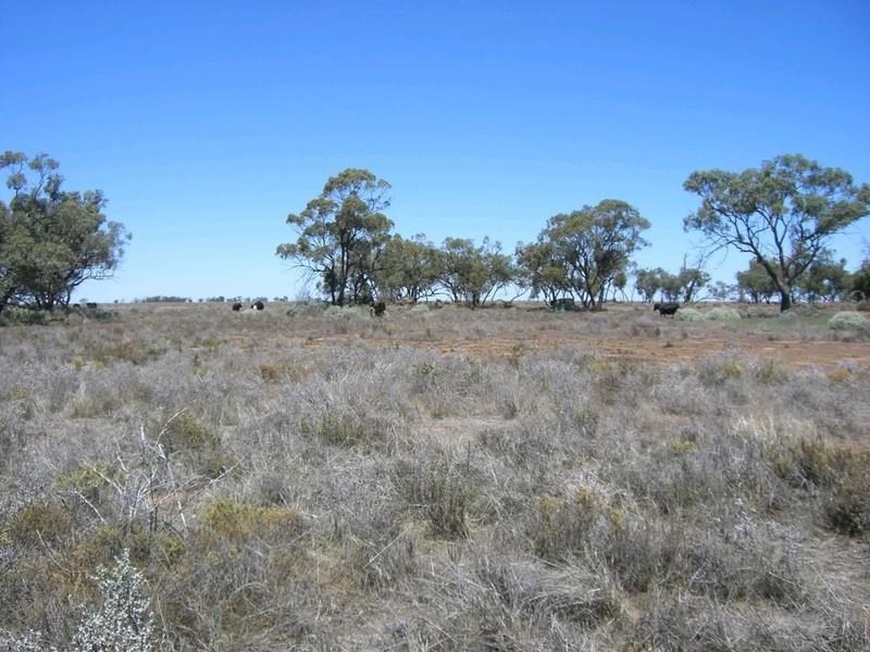 00 Mossgiel Ivanhoe Road, Hillston NSW 2675