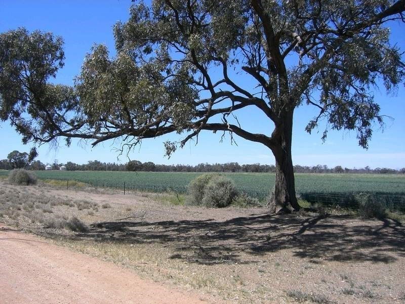 1087 Tueloga Road, Dilpurra NSW 2734