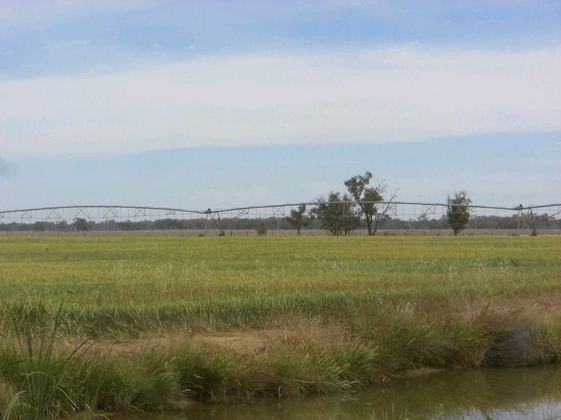 1087 Tueloga Road, Dilpurra NSW 2734