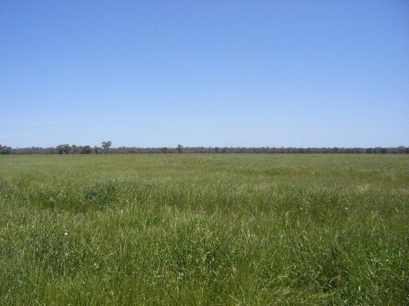Barham NSW 2732