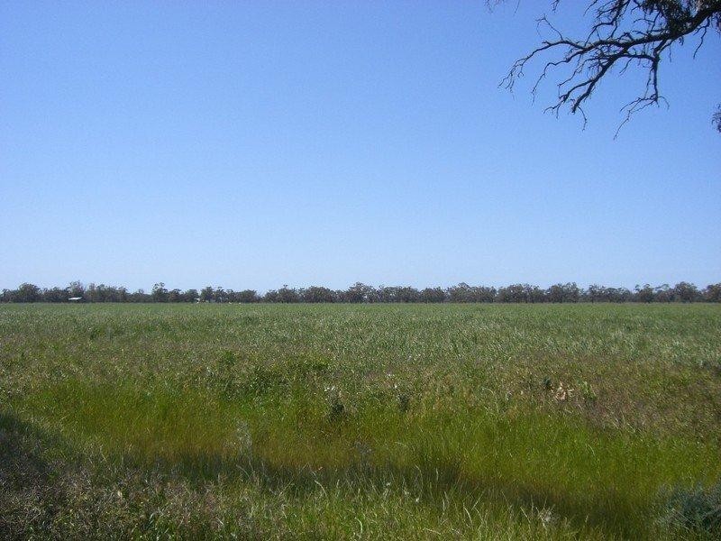 Barham NSW 2732